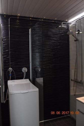 a bathroom with a shower with a toilet and a sink at City Apartment Kauppakatu with Sauna in Iisalmi