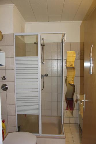 a bathroom with a shower with a toilet and a sink at Kleine Seenadel in Dornumersiel