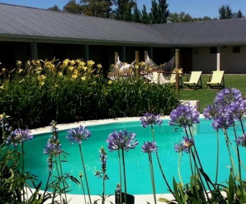 a swimming pool with purple flowers in front of a house at Solar del Pago in San Antonio de Areco