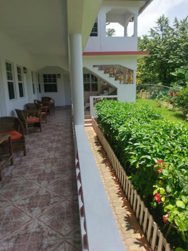 a porch of a building with some plants at Polish Princess Guest House in Port Antonio