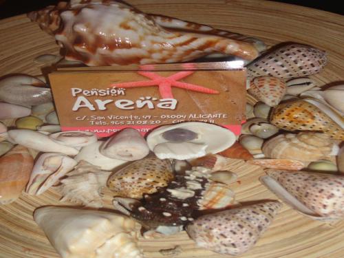 a plate of different types of shells on a table at Pension Arena Alicante in Alicante