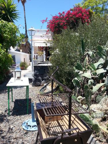 Taman di luar Casitas Las Pereras