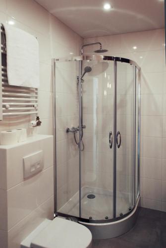 a bathroom with a shower with a toilet and a sink at Cracovia in Krakow
