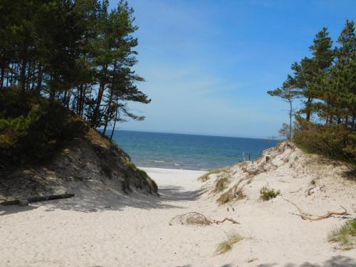 a beach with trees and the ocean in the background at Apartament Pogodny in Łeba
