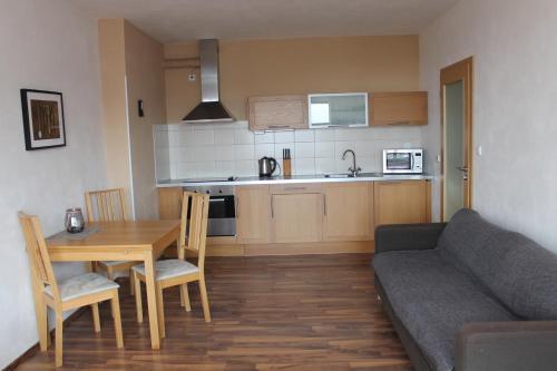 Kuchyň nebo kuchyňský kout v ubytování Vysokohorský apartmán Cihlářka