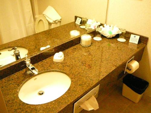 a bathroom counter with a sink and a mirror at Coast Abbotsford Hotel & Suites in Abbotsford
