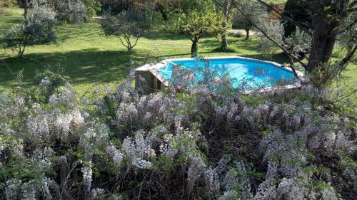 un jardin avec une piscine et quelques fleurs violettes dans l'établissement Le Clos des Sources, à Correns