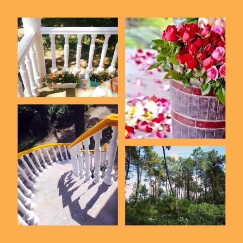 a collage of pictures of a white bench and flowers at Sea & Sun Grigoleti in Grigoleti