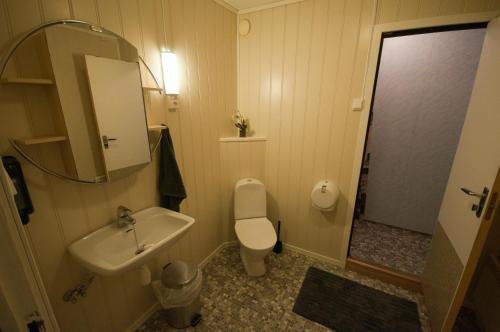 a bathroom with a sink and a toilet and a mirror at Gulen Dive Resort in Dalsøyra