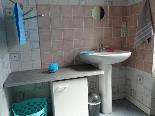 een kleine badkamer met een wastafel en een douche bij Hébergement Paquebot de Rêve in Saint-Nazaire