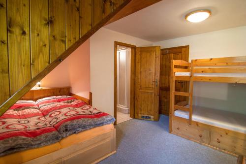 a bedroom with a bed and a bunk bed and a ladder at Chalupa Zuzánek 50 in Rokytnice nad Jizerou