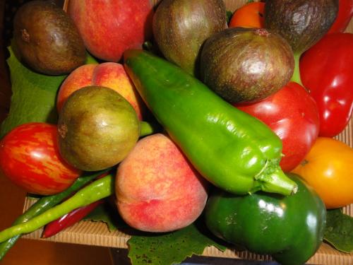 a pile of fruits and vegetables on a shelf at Maglanderhof in Unterlamm