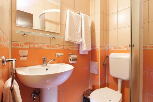 a bathroom with a sink and a toilet at Pensiunea Alfrid in Călimăneşti
