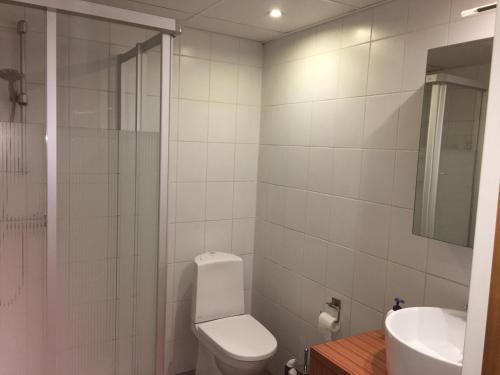 a bathroom with a toilet and a sink and a shower at Superior Apartment near the city center in Tartu