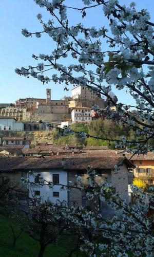 Gambar di galeri bagi Casa Carolina di Castellinaldo