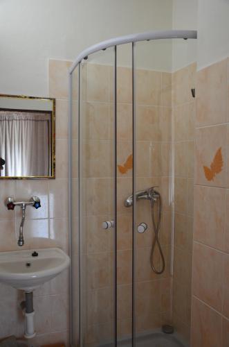 a bathroom with a shower and a sink at Homestay Krásný in Svatá Kateřina