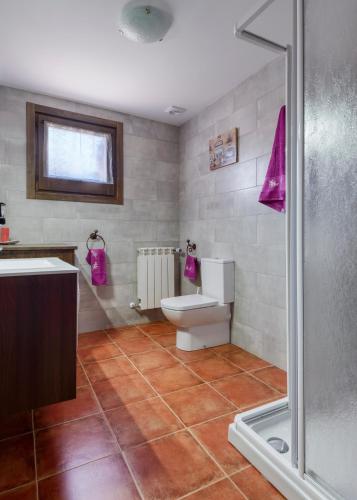 a bathroom with a toilet and a sink and a shower at Loft Casa Paloma in Ansó