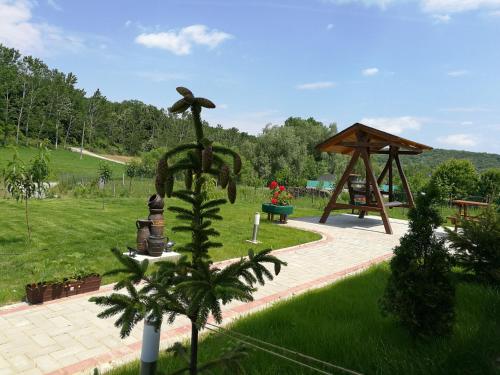 Κήπος έξω από το Agropensiunea Valea Fagilor