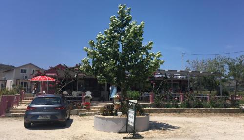 Φωτογραφία από το άλμπουμ του Daphne's Boutique Apartments στο Λιβάδι