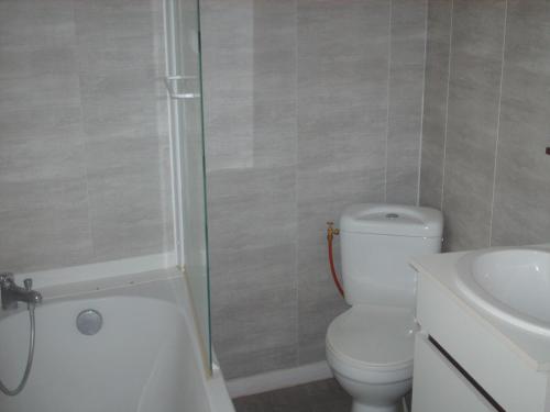 ein Bad mit einem WC, einer Dusche und einem Waschbecken in der Unterkunft Meublé de tourisme*** letrilogis in Joinville