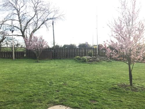 a yard with a fence and two trees with pink flowers at The Windmill Hotel in Elwick