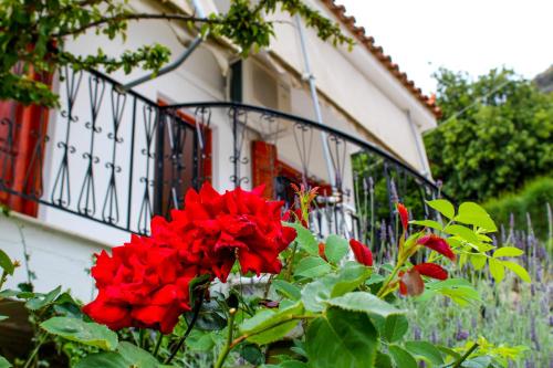 a bunch of red flowers in front of a balcony at Guesthouse Lykourgos in Mavrommátion