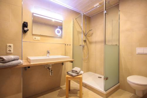 La salle de bains est pourvue d'une douche, d'un lavabo et de toilettes. dans l'établissement Appartements Gahler - Kurort Oberwiesenthal, à Kurort Oberwiesenthal