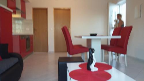 Φωτογραφία από το άλμπουμ του Apartments Pavlić σε Saplunara