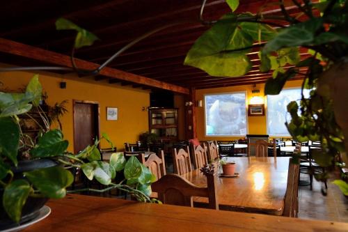 a living room filled with furniture and plants at Lo de Trivi in El Chalten
