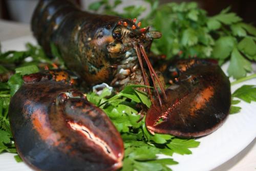 a plate of food with lobsters on a salad at Hotel Al Poggio Verde in Barghe