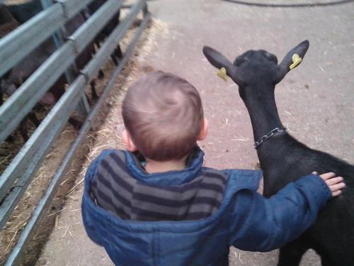 a young boy is petting a black goat at Hotel Rural Yeguada Albeitar in Villayón