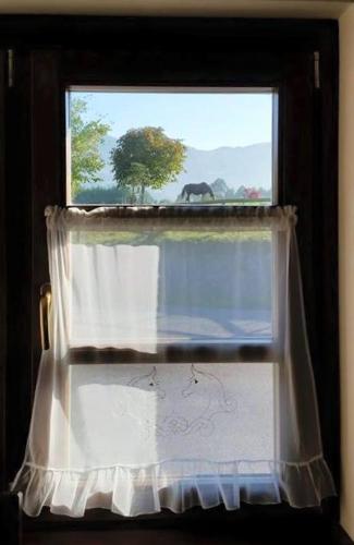 a window with a curtain and an elephant in the background at Hotel Rural Yeguada Albeitar in Villayón