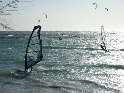 Attività di windsurf presso l'hotel o nelle vicinanze
