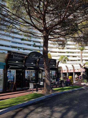 a tree sitting in front of a building at Apartments at Commodoro in Villeneuve-Loubet