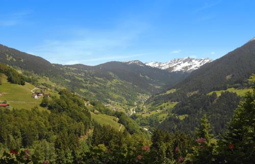 a view of a valley with mountains and trees at Appartement Mangeng in Bartholomäberg