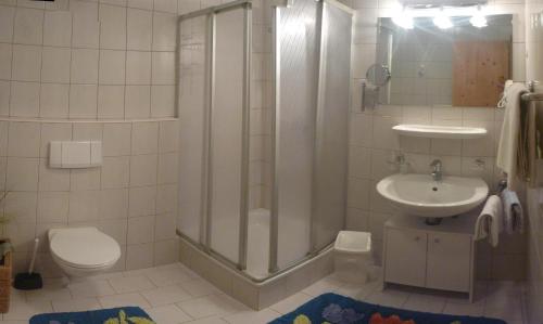 a bathroom with a shower and a sink and a toilet at Haus Bellis in Neustift im Stubaital
