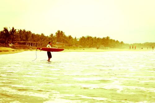 a man standing in the water with a surfboard at Troncones Point Hostel in Troncones