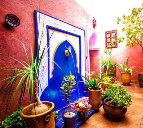 a room with potted plants and a blue door at Riad Jakoura in Marrakech