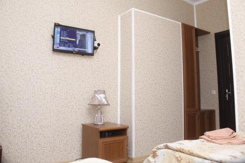 TV a/nebo společenská místnost v ubytování Hotel Romantika