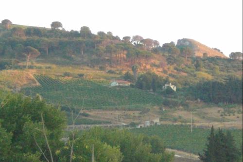 a hill with a house on top of it at Villetta San Giovanni in Calatafimi