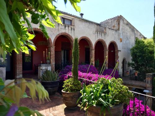 une cour avec des plantes en pot devant un bâtiment dans l'établissement Apartaments Can Gibert, à Castelló d'Empúries