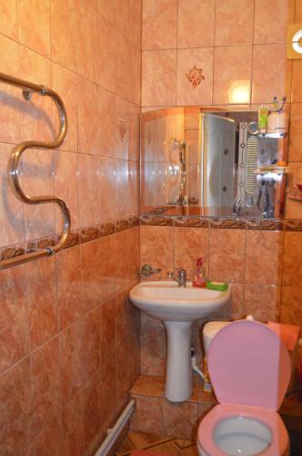 ヴィチャゼヴォにあるГостевой дом у Наталиのバスルーム(ピンクのトイレ、シンク付)