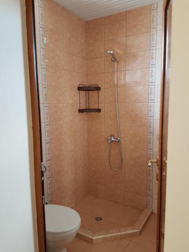 Phòng tắm tại Guest House Markovi Aheloy