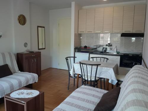 Nhà bếp/bếp nhỏ tại Studio S Sokobanja