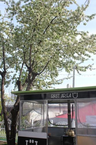 a bus parked in front of a tree at With U Hotel & Guesthouse in Sokcho