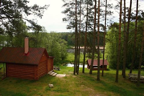 a log cabin in the woods next to a lake at Nature Retreat "Upes Dižvietas" in Krāslava