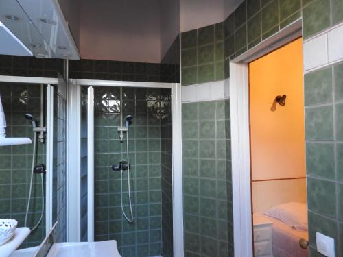 La salle de bains est pourvue d'une douche avec du carrelage vert. dans l'établissement Le Moulin De Saussaye, à Crouzilles