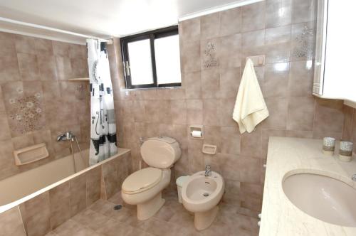a bathroom with a toilet and a sink and a shower at Salakos Mountain View Home in Sálakos