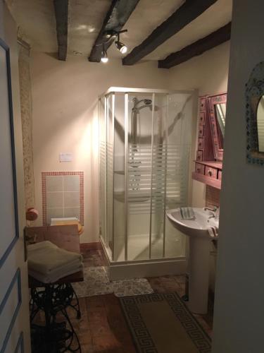 a bathroom with a shower and a sink at La Suzannerie in Vivoin