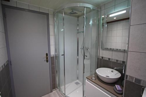 a bathroom with a glass shower and a sink at Les jumeaux in Granges-sur-Vologne